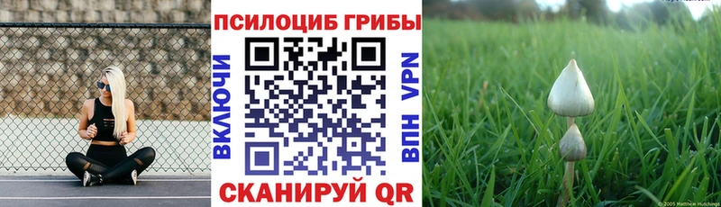 мега зеркало  Венёв  Псилоцибиновые грибы мухоморы  наркота 